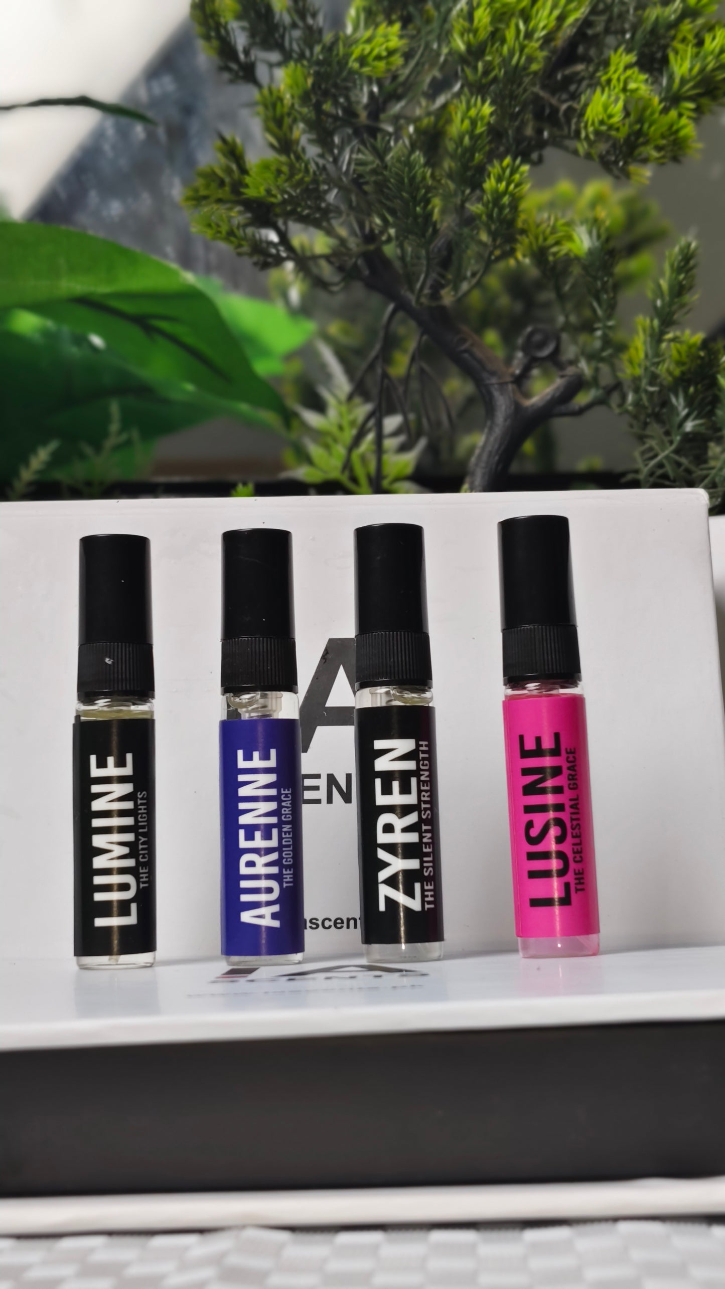 4 in 1 frangance deal