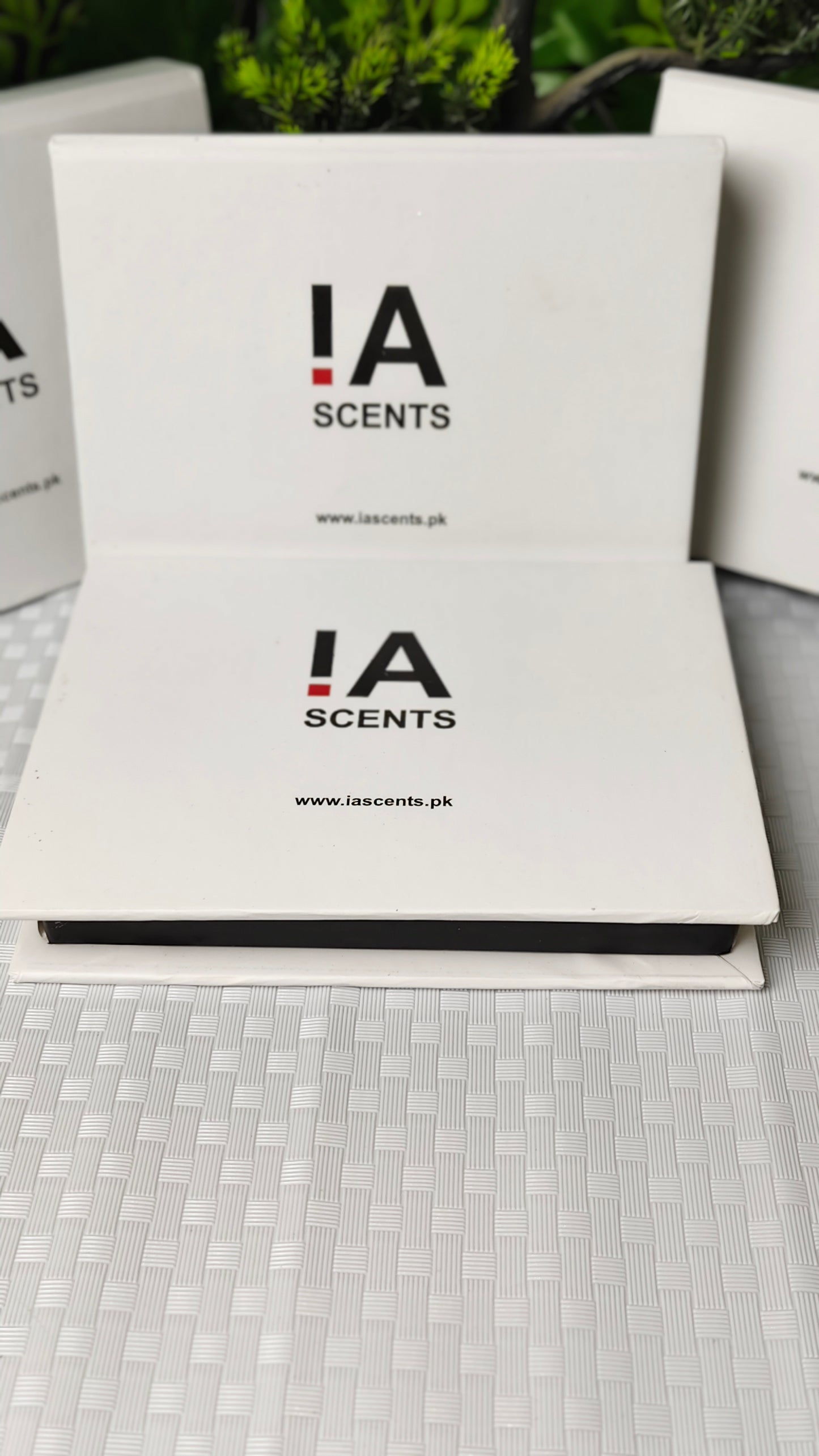 4 in 1 frangance deal